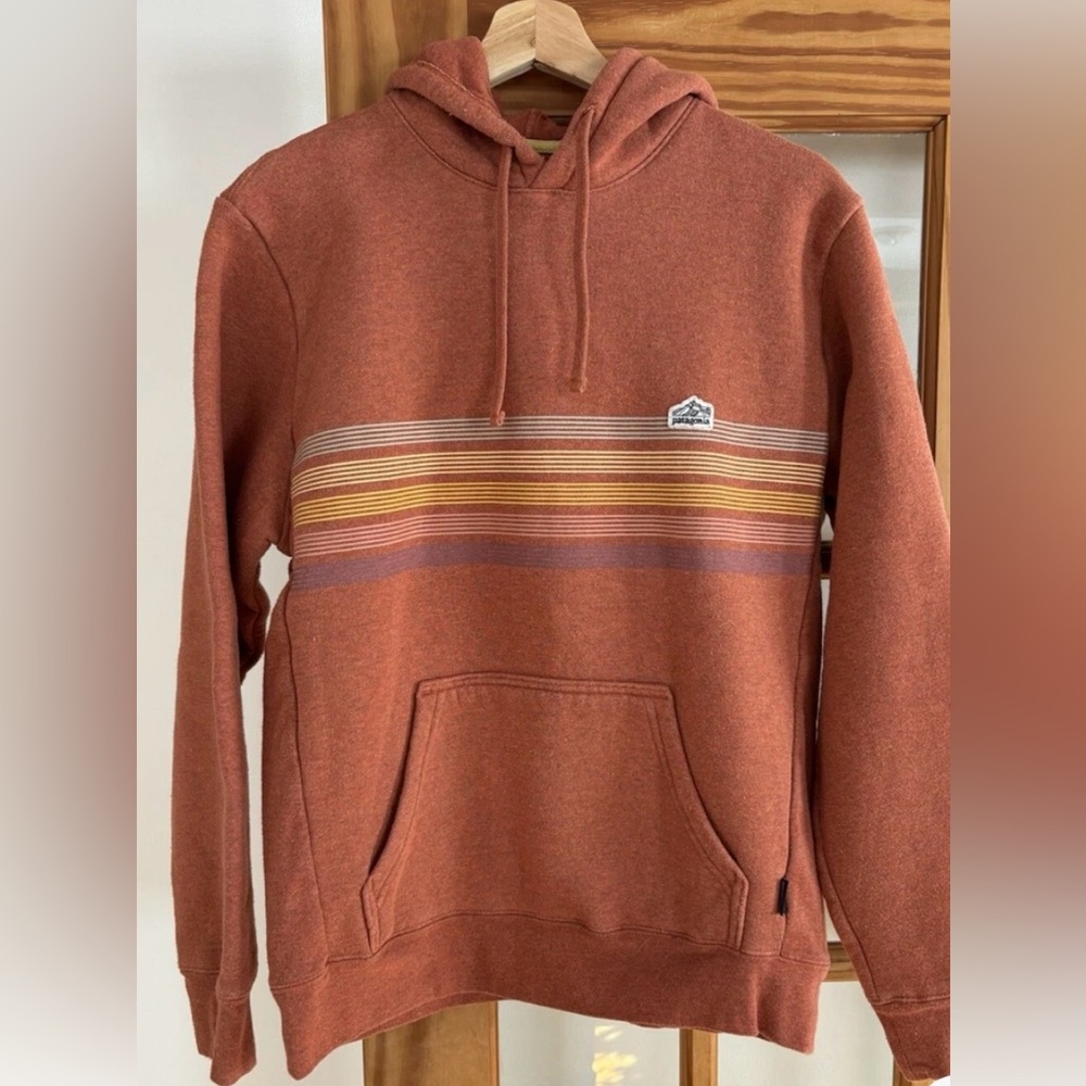Patagonia Rust Hoodie with Striped Design